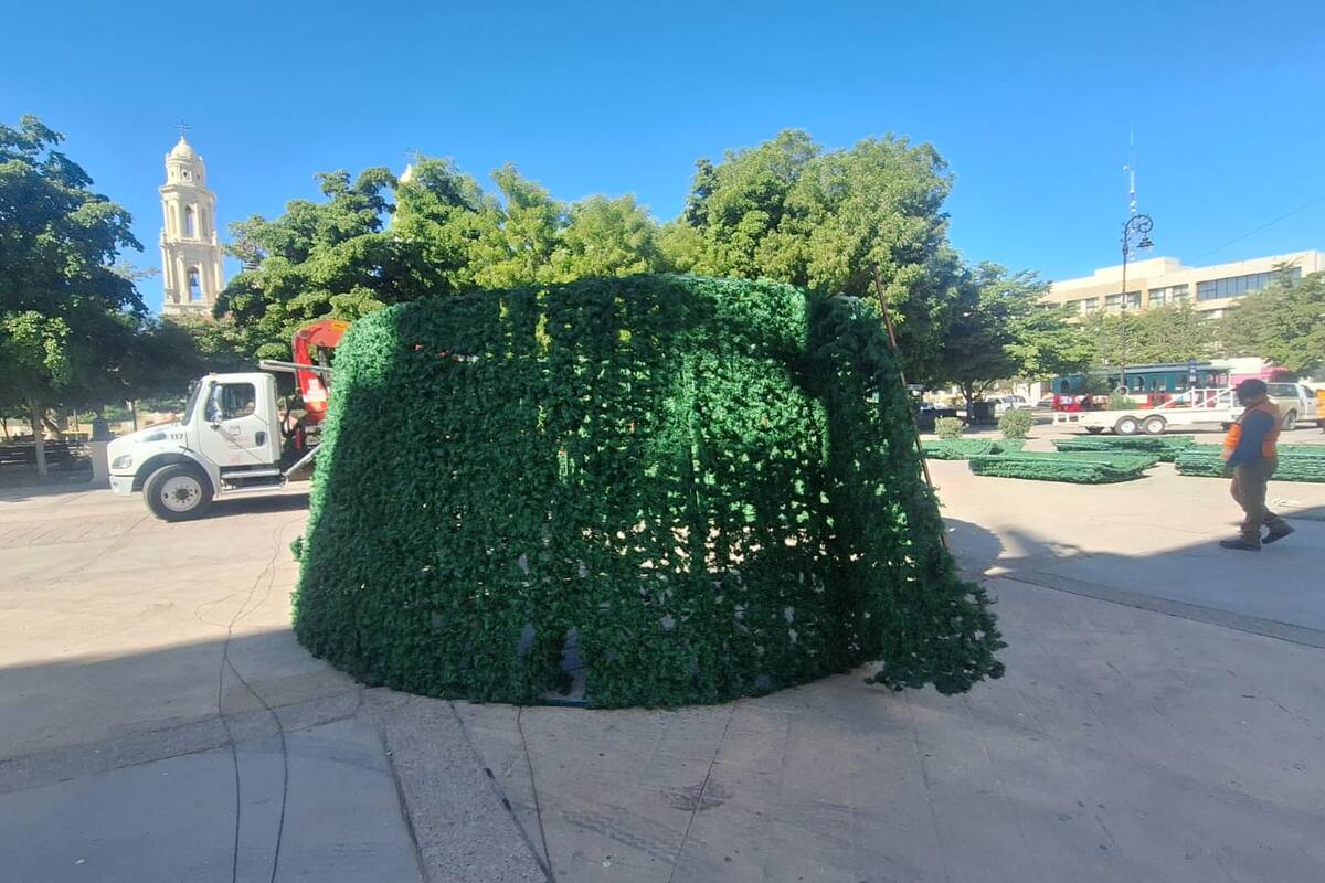 Lo que debes saber del encendido del árbol de Navidad en Hermosillo