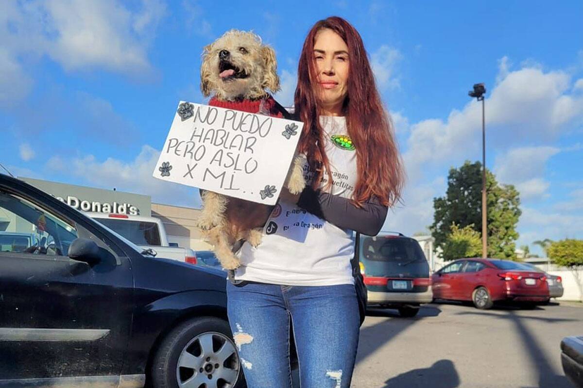 Mantiene refugio de animales en Ensenada con página de ‘Face’