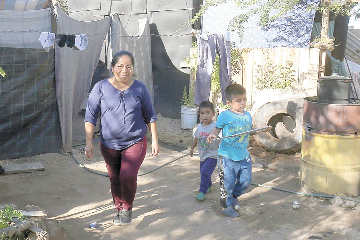 Levanta su hogar con tarimas y cartón; necesita ayuda por el frío