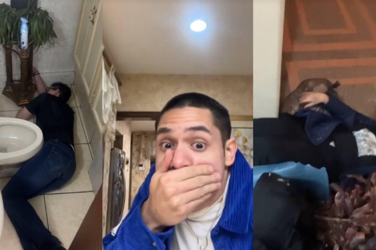 VIRAL: joven graba a todos en su casa borrachos; ¡su tía hasta se cae sobre los maceteros!