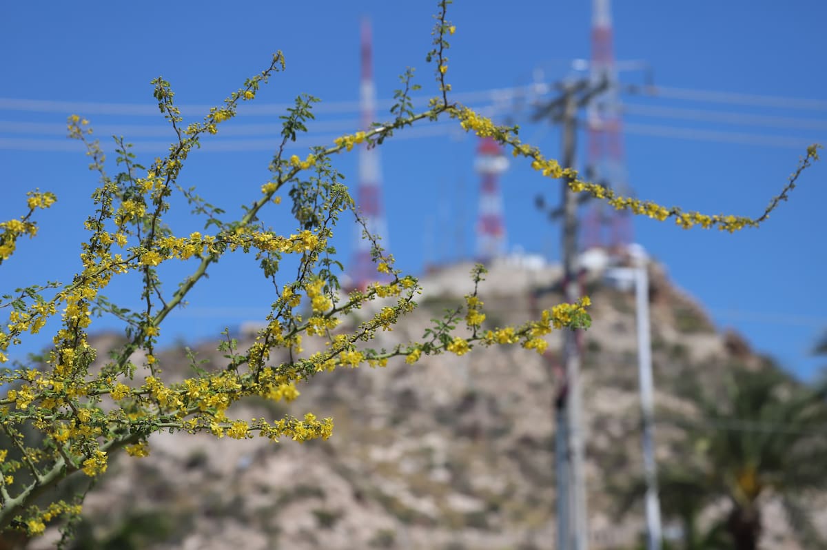 Aunque las tardes serán más calurosas, las mañanas seguirán frescas en varias regiones de Sonora. FOTO: BANCO DIGITAL