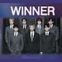 BTS hace historia DE NUEVO en los American Music Awards al ganar “Artista del Año”, “Mejor artista masculino de K-Pop” y “Canción del Verano”