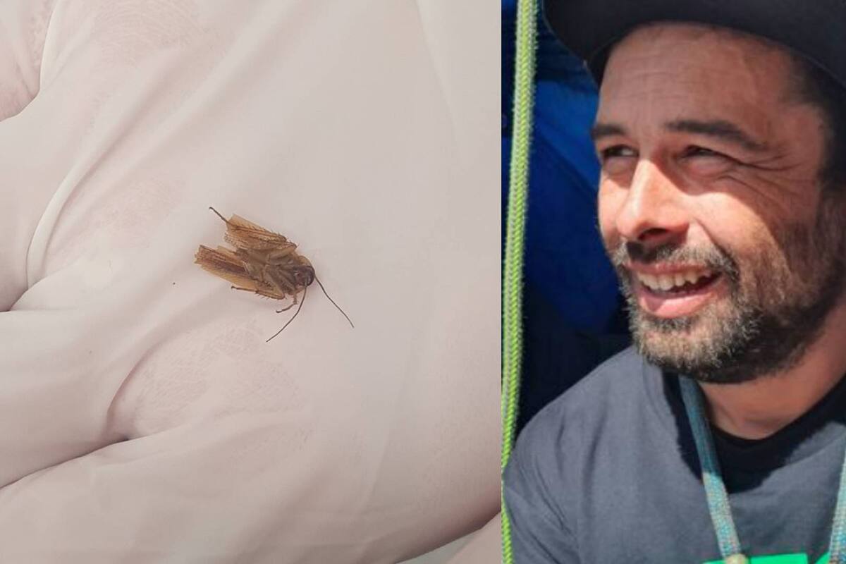 Zane Wedding: El hombre que fue al médico por un dolor de cabeza y tenía una cucaracha en el oído