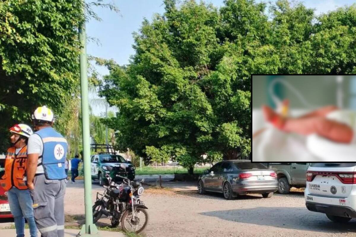 Hallan a otra recién nacida abandonada en San Luis Potosí