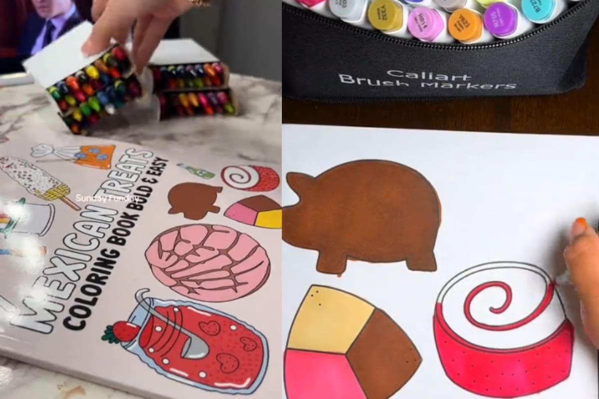 Conoce el libro de colorear mexicano que se está viralizando en la plataforma de TikTok
