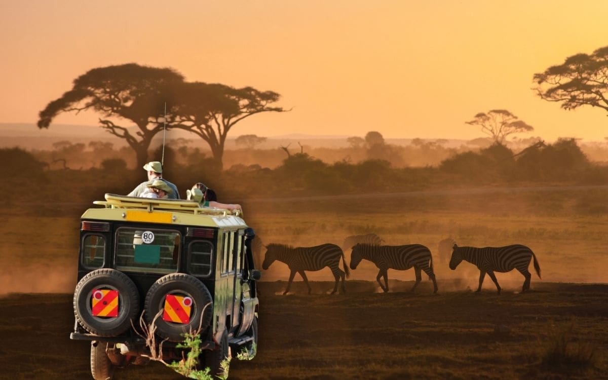 Safari en Sudáfrica. | Crédito: Canva