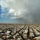 Tormenta en Mexicali deja apagones y daños en postes