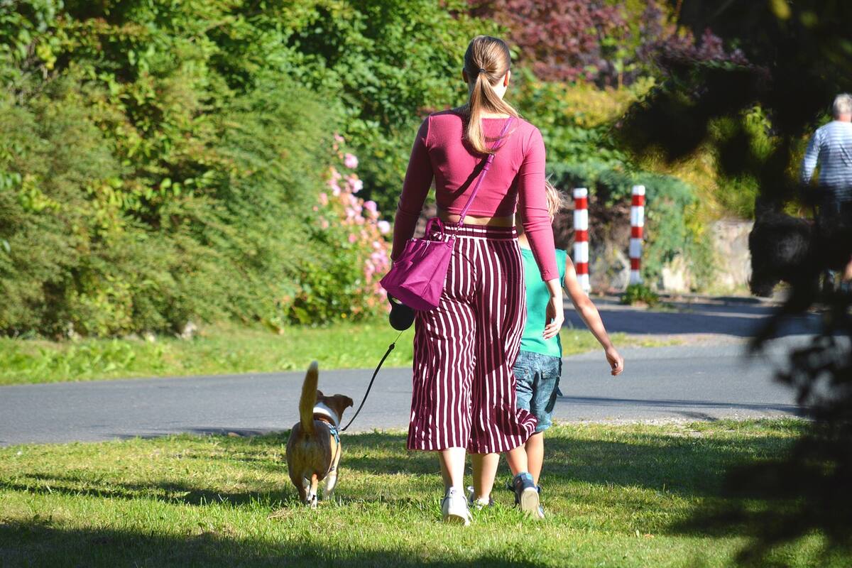 Consejos para un paseo tranquilo con tu perro