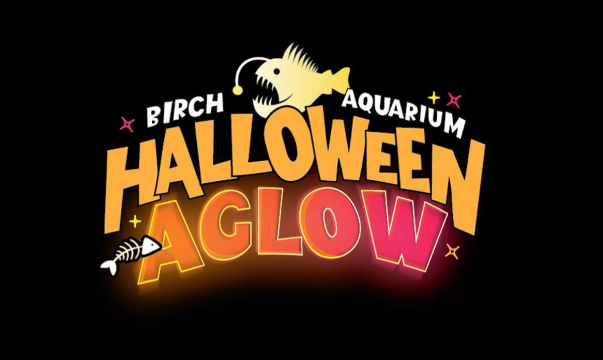 “Halloween Aglow” celebra las maravillas y los misterios del océano.