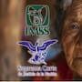 Suprema Corte cambia reglas de la Ley 73 del IMSS y ordena igualar pensiones: padres de trabajadores fallecidos podrán recibir hasta 90%, como viudez, si acreditan dependencia