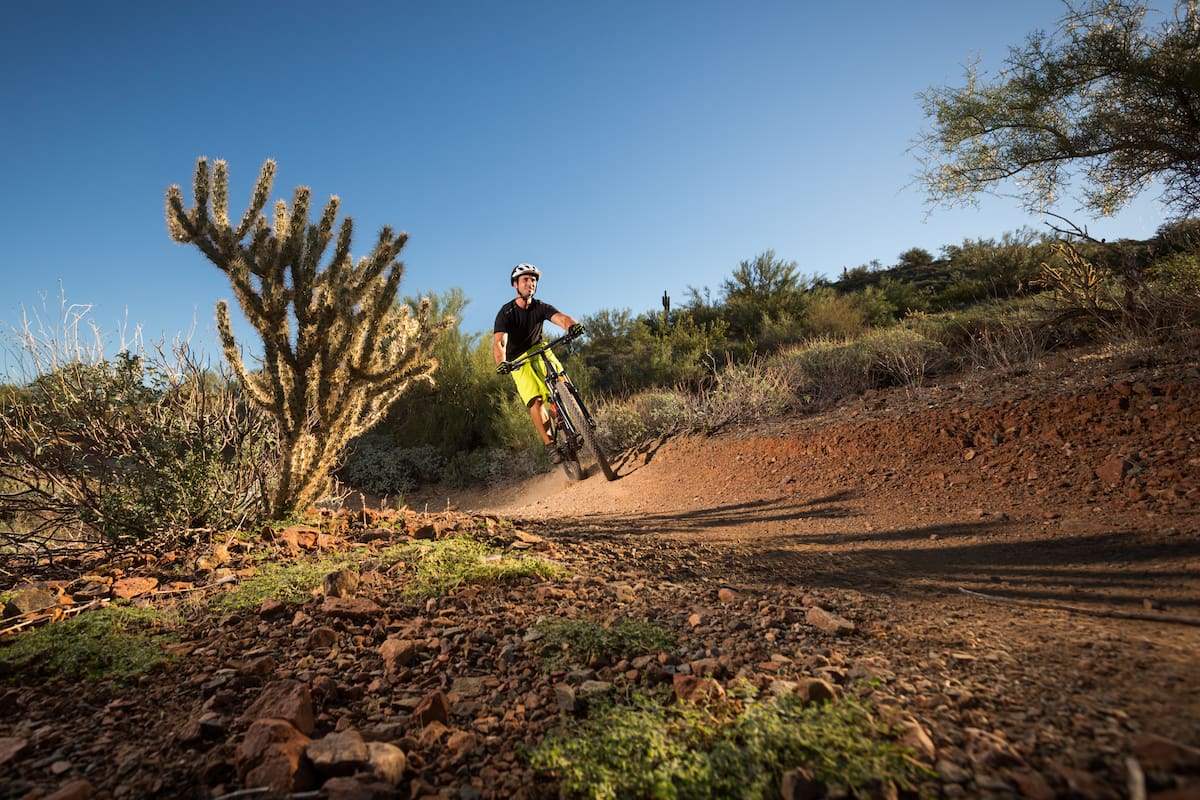 Época de paisajes dorados