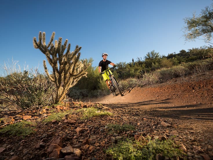 Época de paisajes dorados