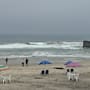 Exhiben las condiciones de las playas de Tijuana ante la poca información oficial