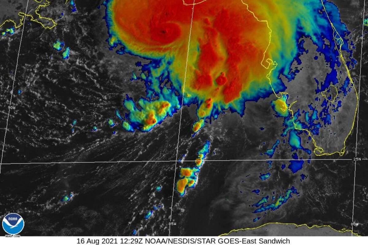 Alertas por fenómenos meteorológicos activos: Depresión tropical 8, y tormentas tropicales Fred y Grace