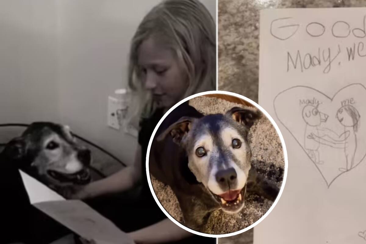 VIDEO EMOTIVO: Niña se despide de su perrita con enfermedad terminal leyendo triste carta; “todavía te amo”