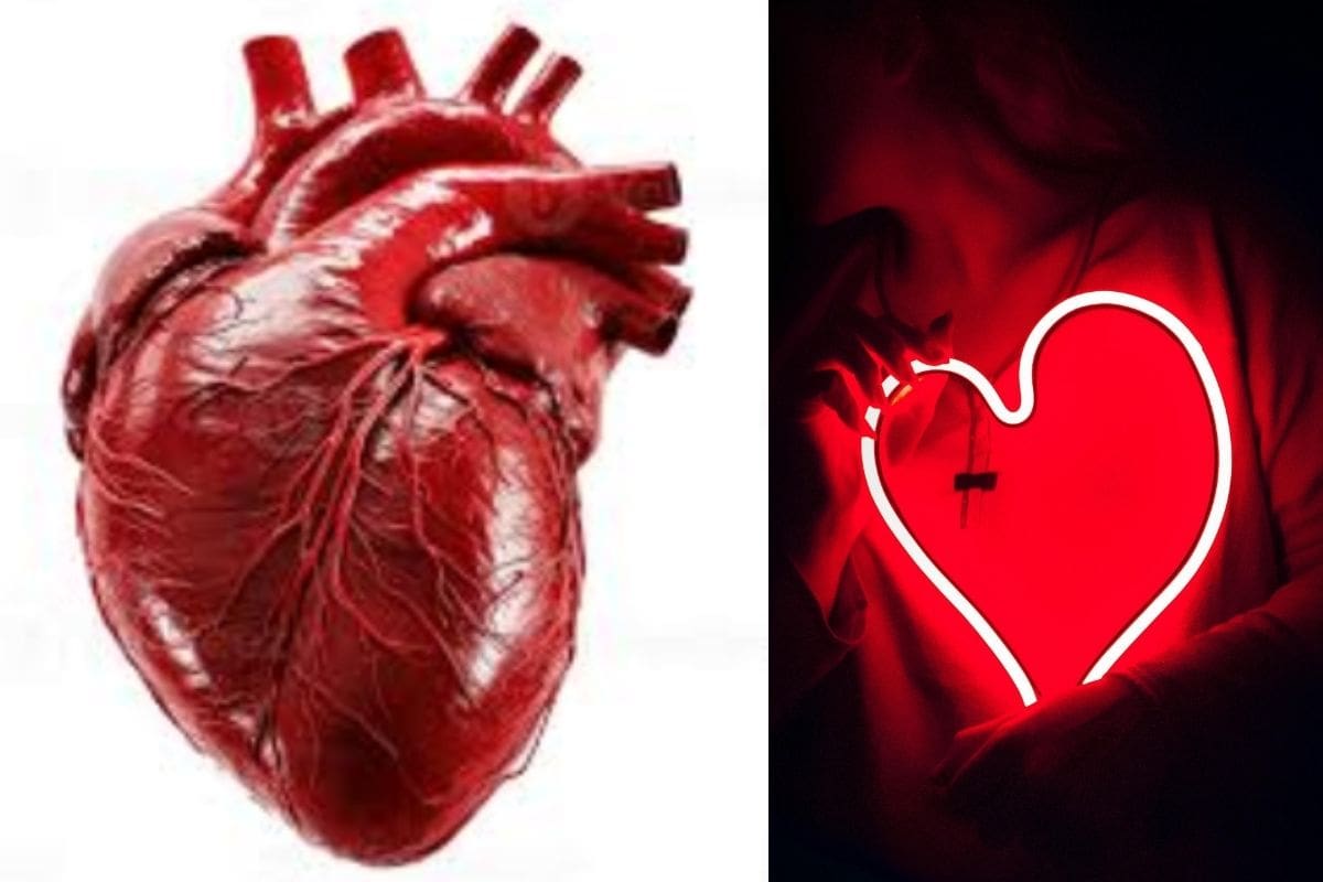 ¿Cuál es el origen del símbolo del corazón y por qué se dibuja así?