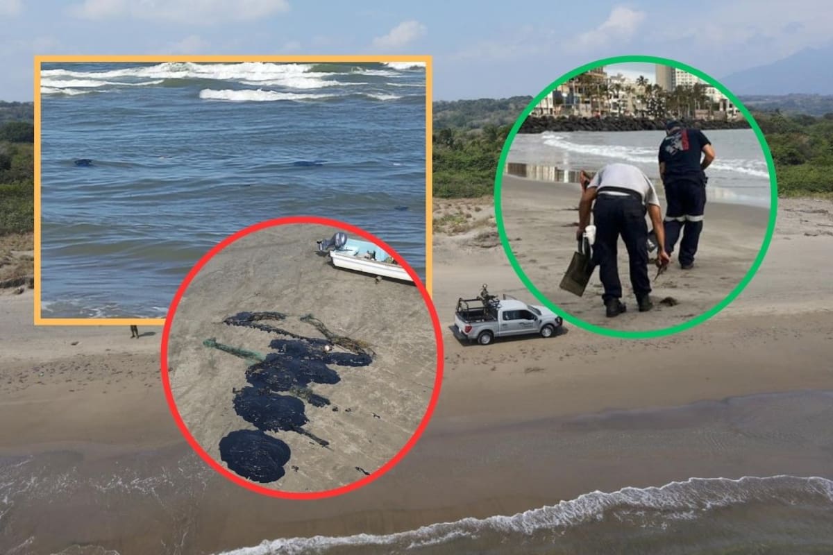 Derrame de hidrocarburos en el Golfo de México: ¿qué playas de Veracruz están afectadas y qué medidas toman las autoridades?