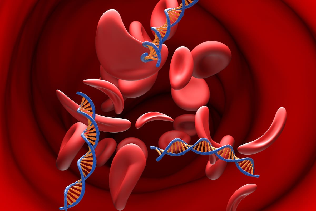 Células que desafían la muerte celular tras un daño severo