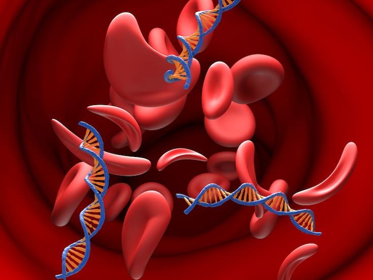 Células que desafían la muerte celular tras un daño severo