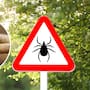 Este virus es transmitido por garrapatas y puede infectar a una persona en solo 15 minutos, no tiene vacuna ni tratamiento específico y ya registra aumento de casos en EE. UU. entre 2004 y 2026, alerta CDC