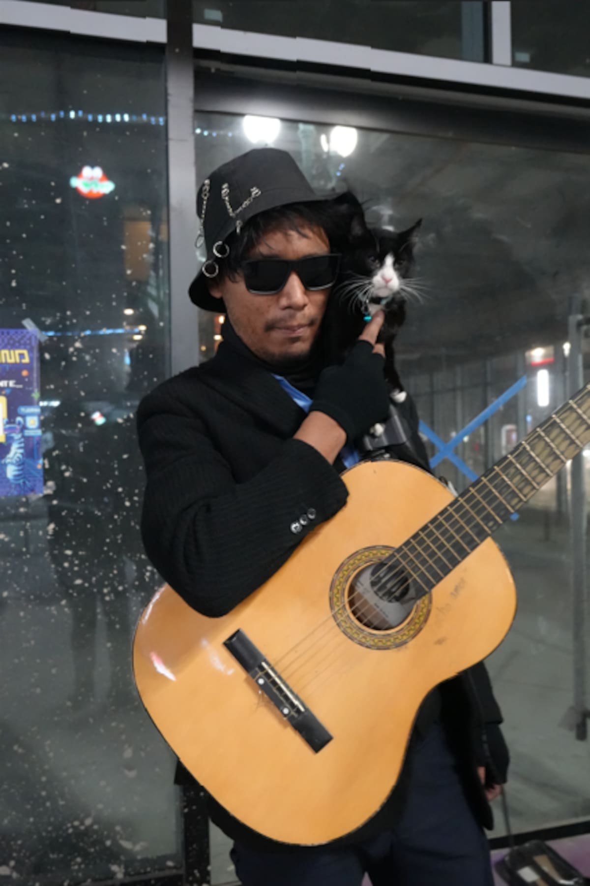 Vicente toca música en la avenida Revolución acompañado de Mermelada, un gato que se ha convertido en parte esencial de su proyecto y del ambiente urbano de la zona. Foto: Cortesia