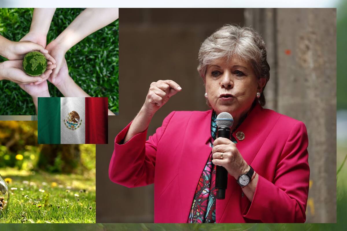 Esto es lo que propone Alicia Bárcena como nueva secretaria de medio ambiente