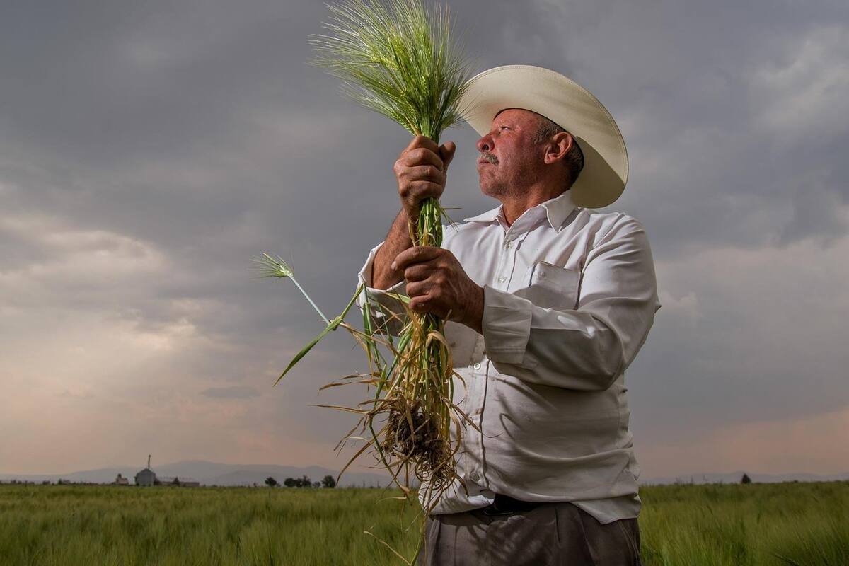 Sader comenzaría a operar en noviembre en Cajeme