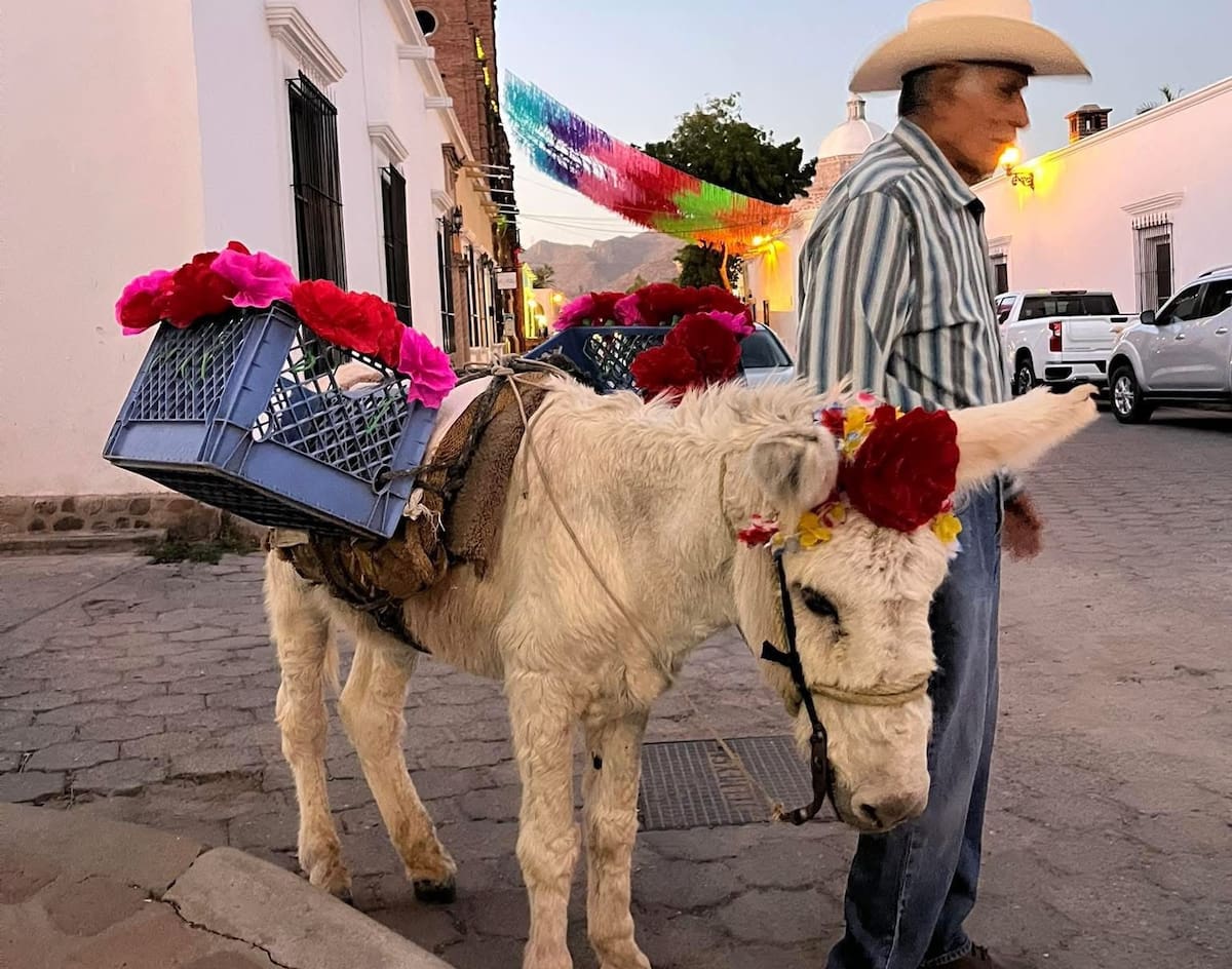 FOTO FB: Álamos a través de los siglos