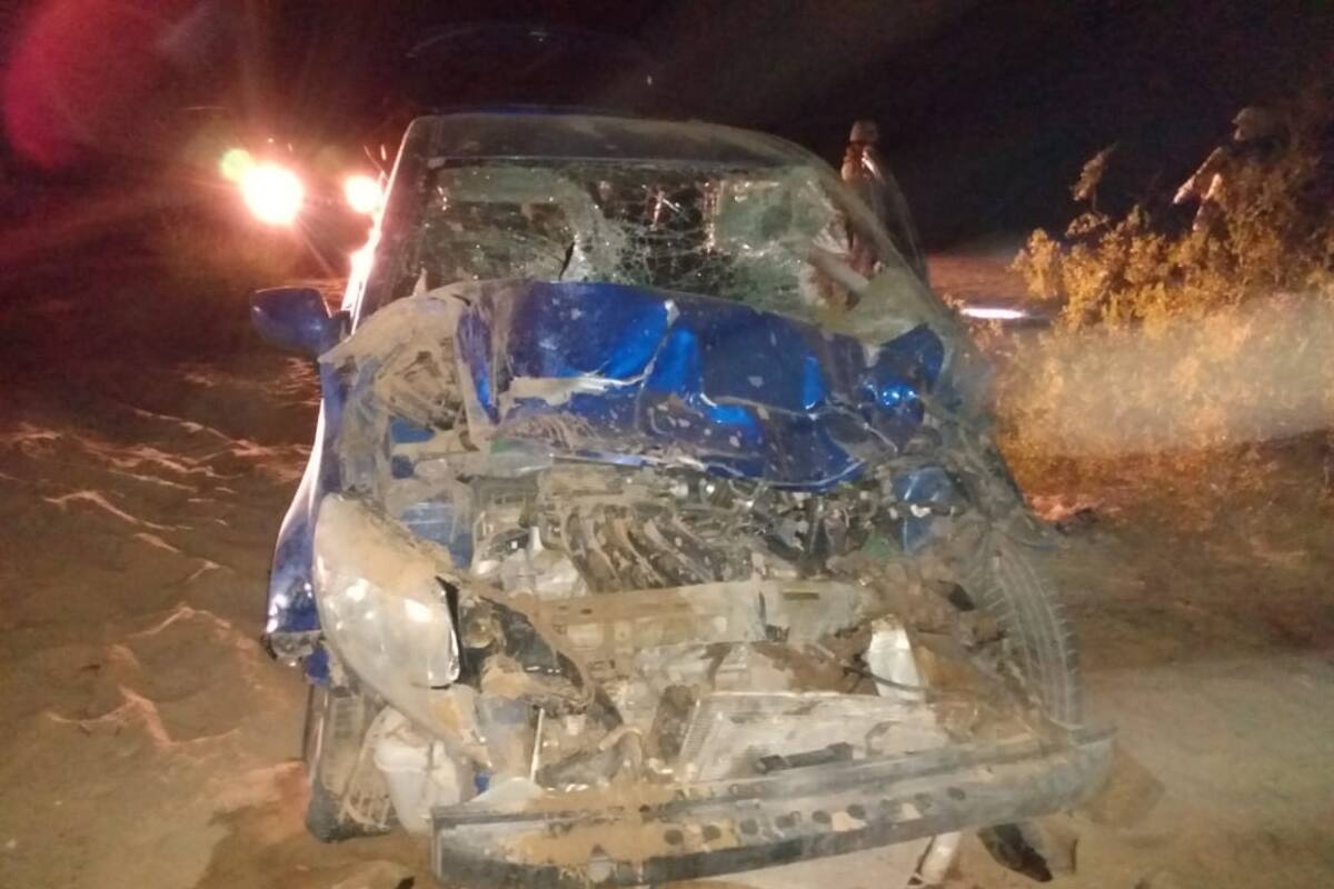 Chocan contra una vaca en carretera