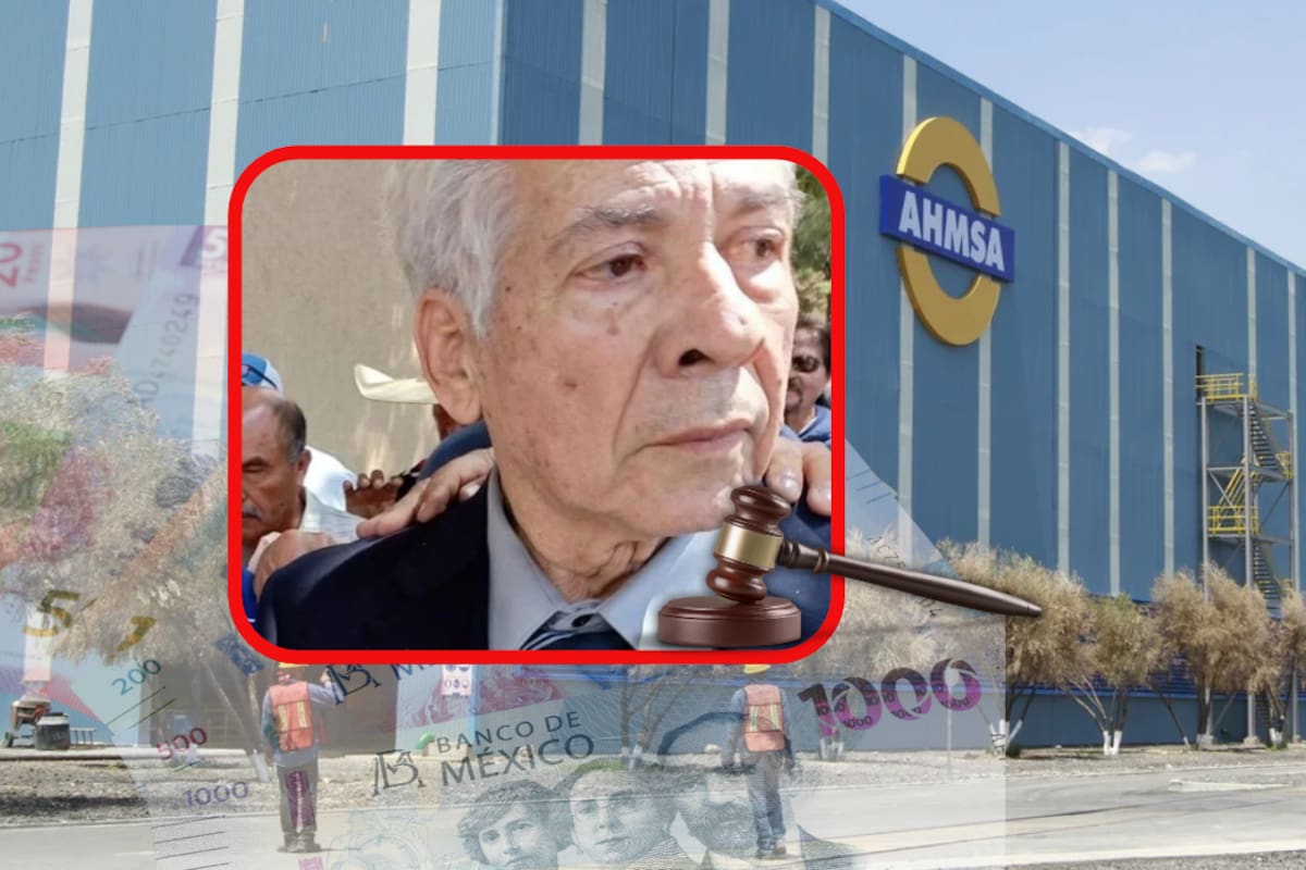 José Arturo Domínguez Arteaga ofreció mil 400 millones de dólares por AHMSA, pero solo depositó 5 mil pesos de los 56.3 millones de dólares exigidos como garantía; jueza lo denuncia ante la FGR y abre 90 días para negociar la venta con acreedores