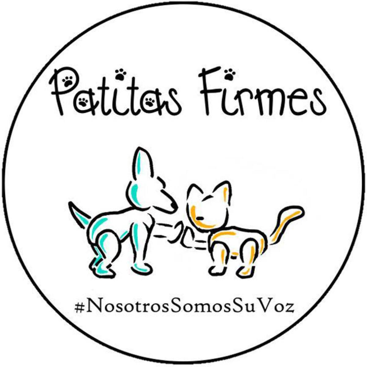 "Patitas firmes" pide el apoyo de los tijuananses.