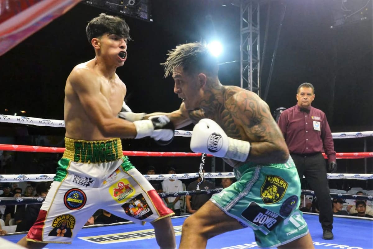 Boxeadores profesionales en Mexicali enfrentan falta de seguro médico