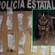 Unidad canina K-9 de la PESP asegura a sujeto con 20 dosis de droga en Hermosillo