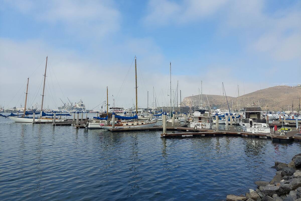 Clima nublado ha afectado a la pesca deportiva en Ensenada