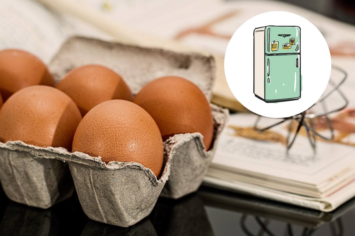 ¿Deben refrigerarse los huevos o pueden mantenerse a temperatura ambiente?