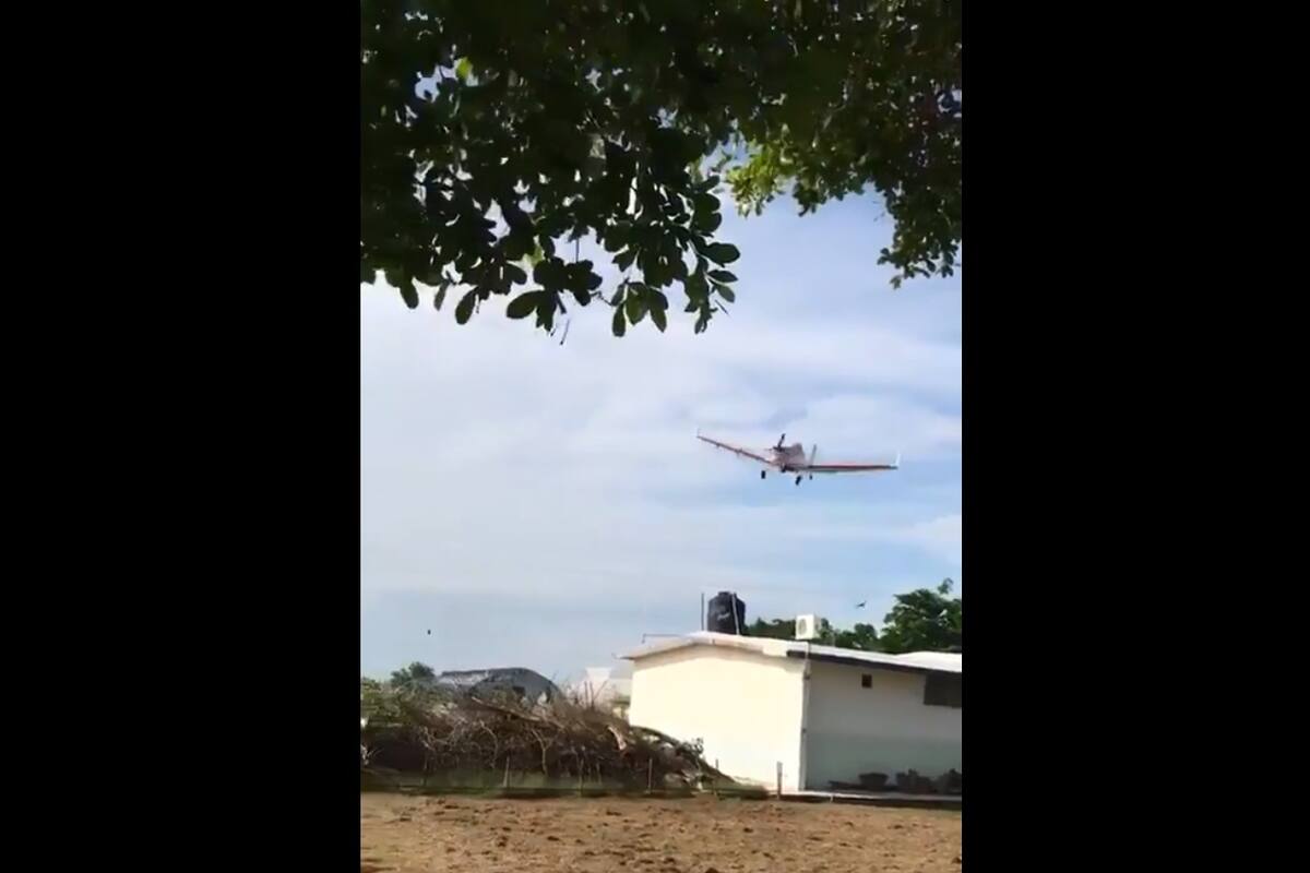 VIDEO: Avioneta se desploma cerca de escuela en Sinaloa
