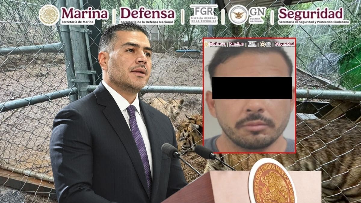 Omar García Harfuch confirma la captura de José Antonio “N”, presunto líder del Cártel del Noroeste ligado a huachicol fiscal, tras operativo en Nuevo León que culminó con el aseguramiento de siete tigres, armas y vehículos