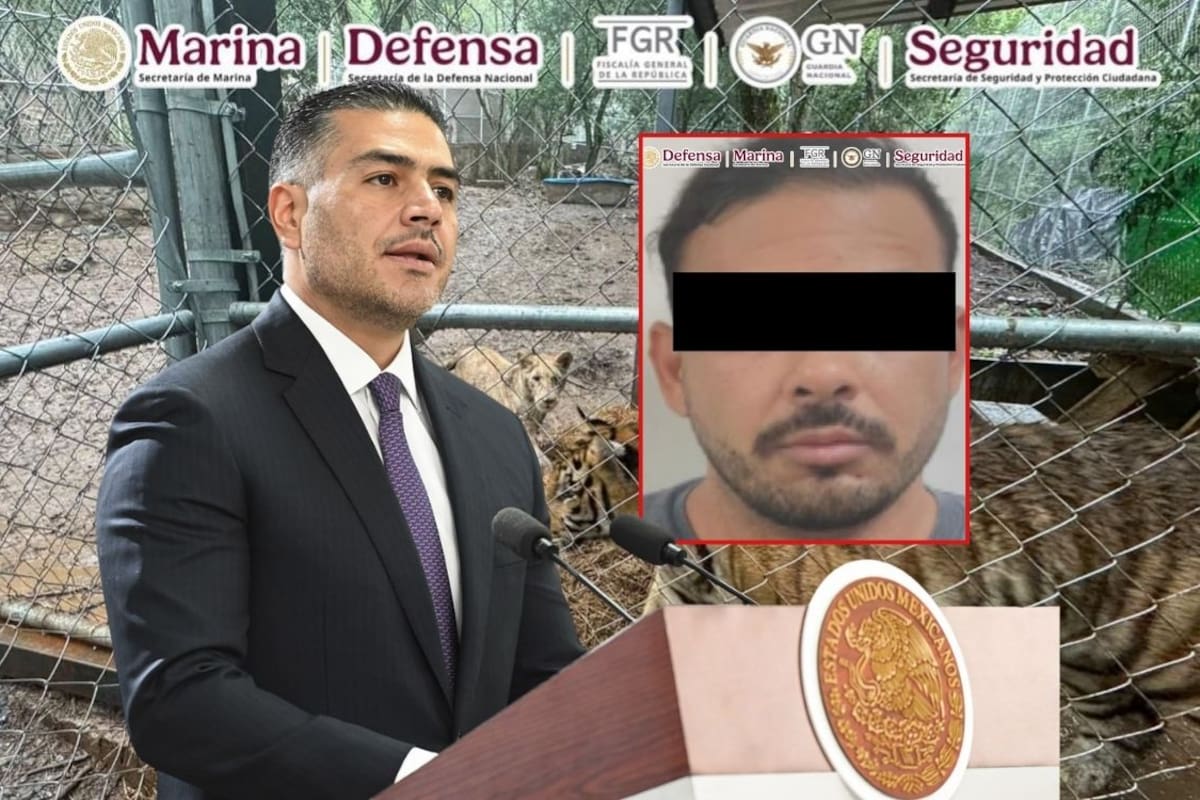 Omar García Harfuch confirma la captura de José Antonio “N”, presunto líder del Cártel del Noroeste ligado a huachicol fiscal, tras operativo en Nuevo León que culminó con el aseguramiento de siete tigres, armas y vehículos