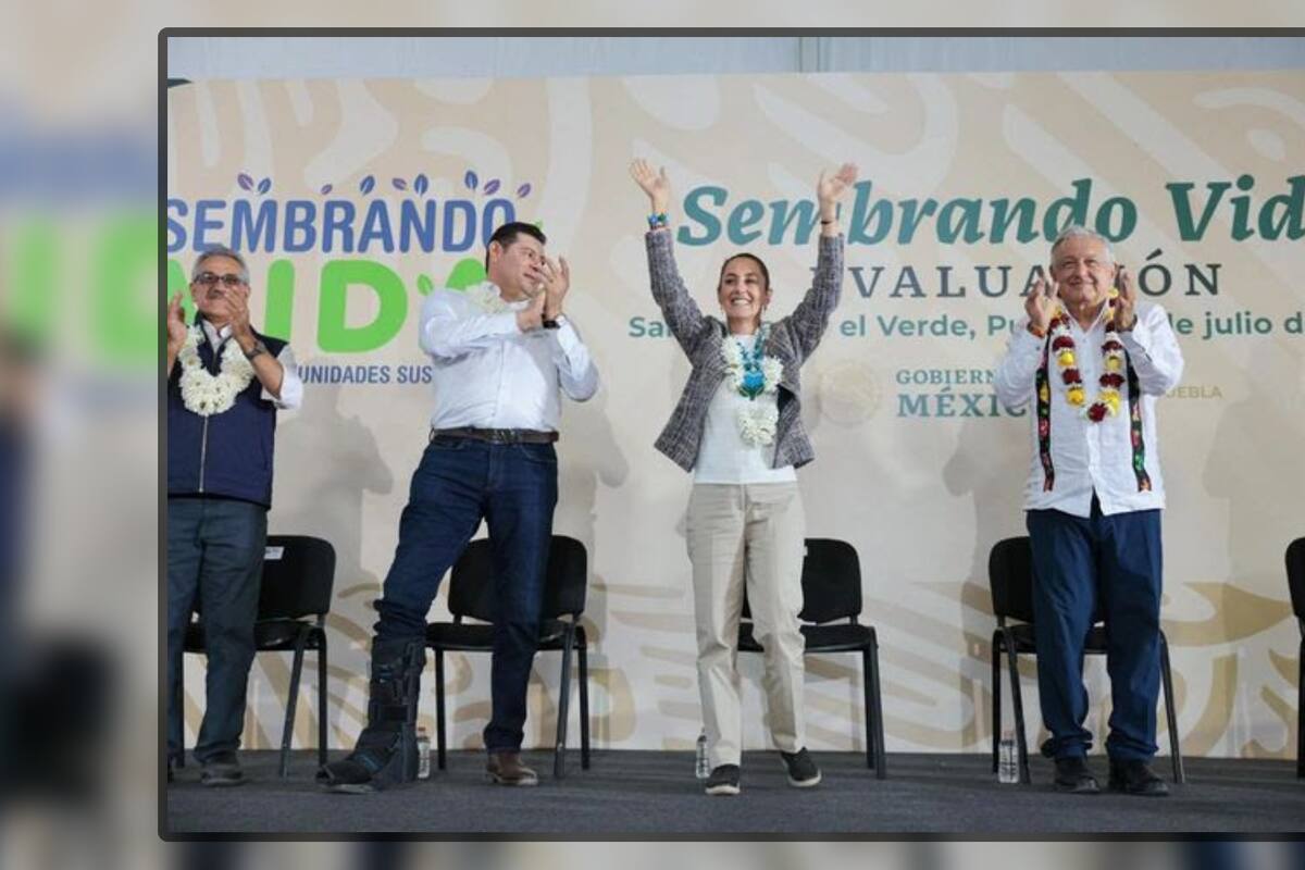 Programas de bienestar que continuarán en gobierno de Sheinbaum