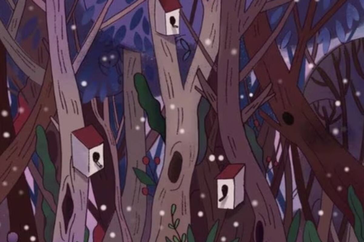 Reto visual: Encuentra al búho entre las luciernagas y sombras del bosque