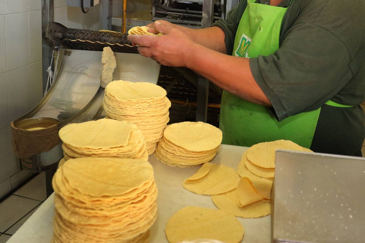 Kilo de tortillas de maíz podría llegar a los 20 pesos
