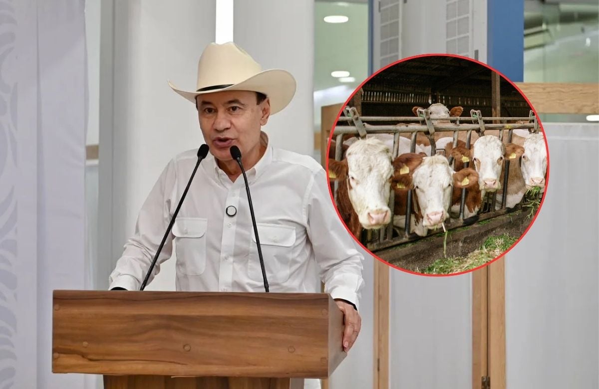 El gobernador Alfonso Durazo confirmó la detección del primer caso de Gusano Barrenador del Ganado en Sonora.