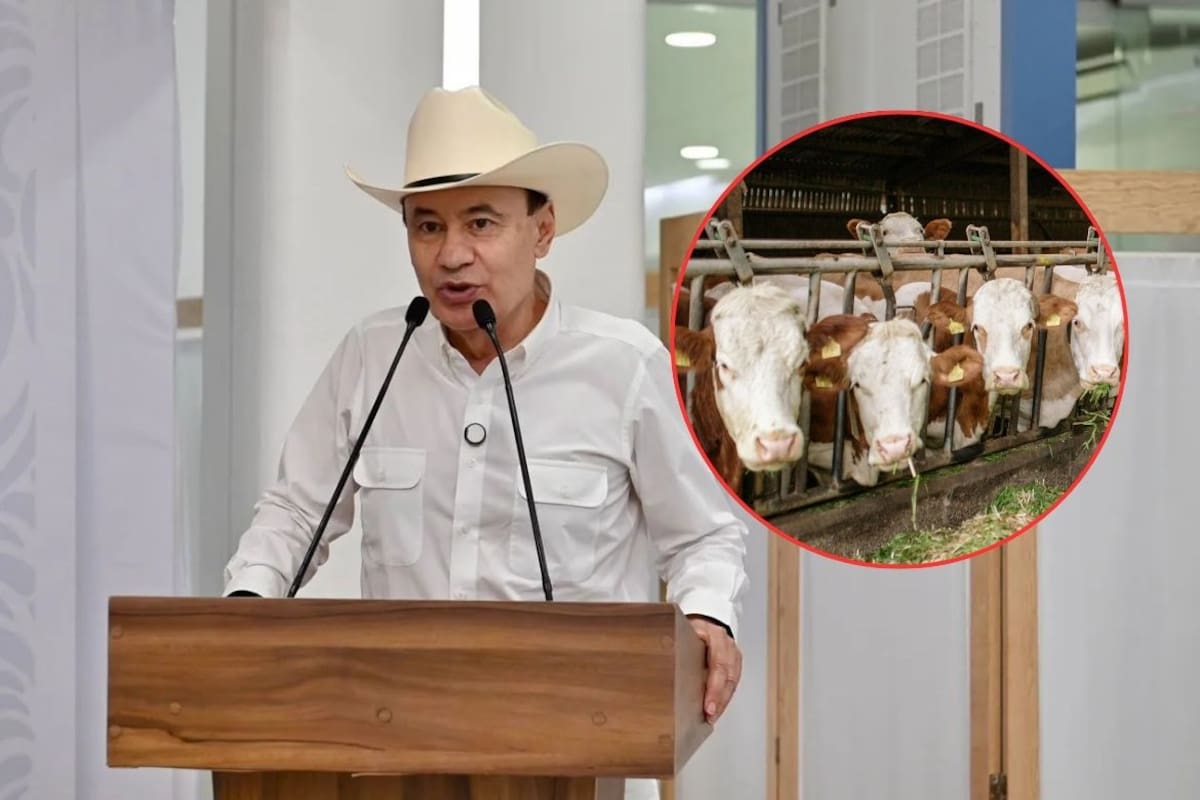 Alfonso Durazo activa protocolos sanitarios y pide a ganaderos vigilar su ganado tras detectar gusano barrenador en Álamos