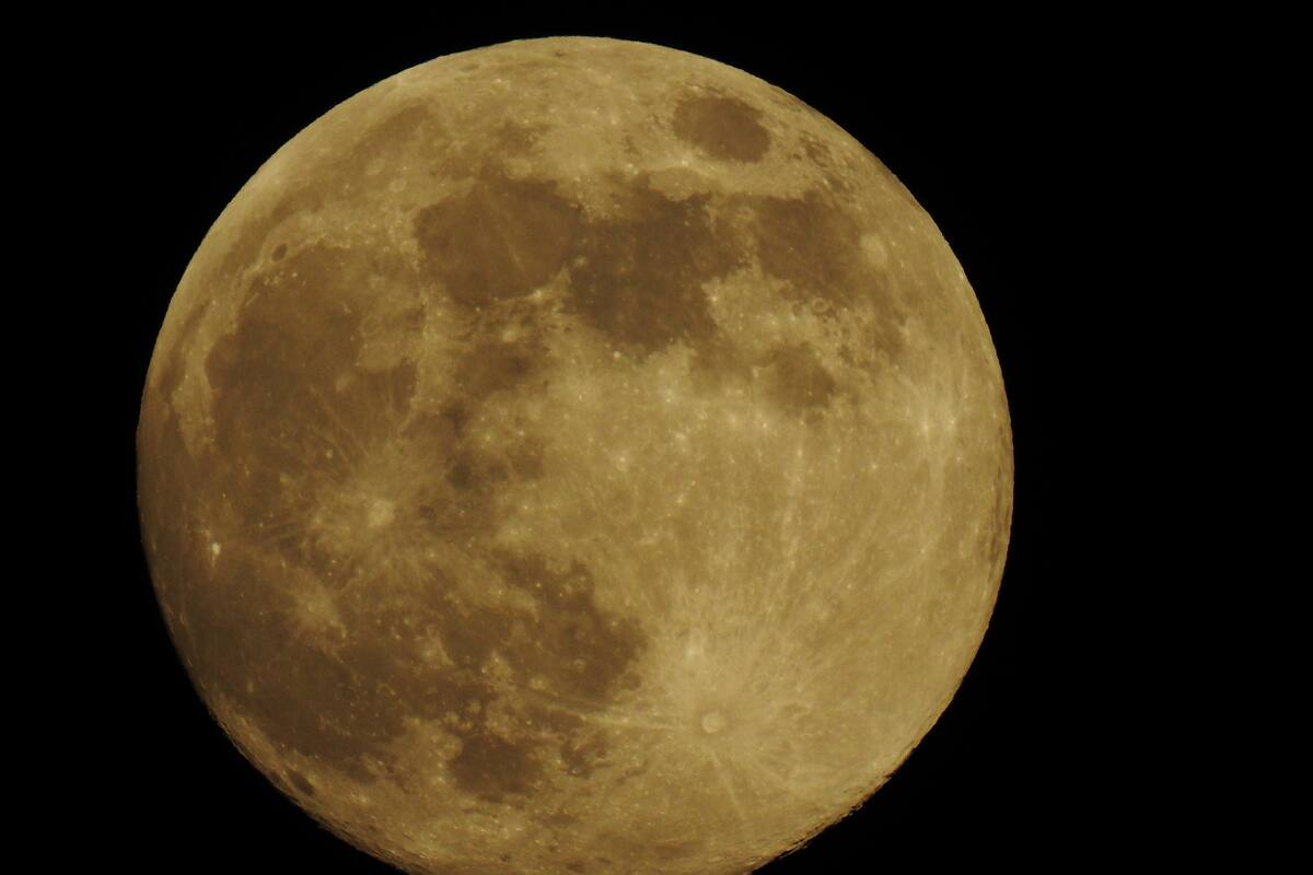 Luna de Flores: ¿Cuál es el mejor horario para verla en México?