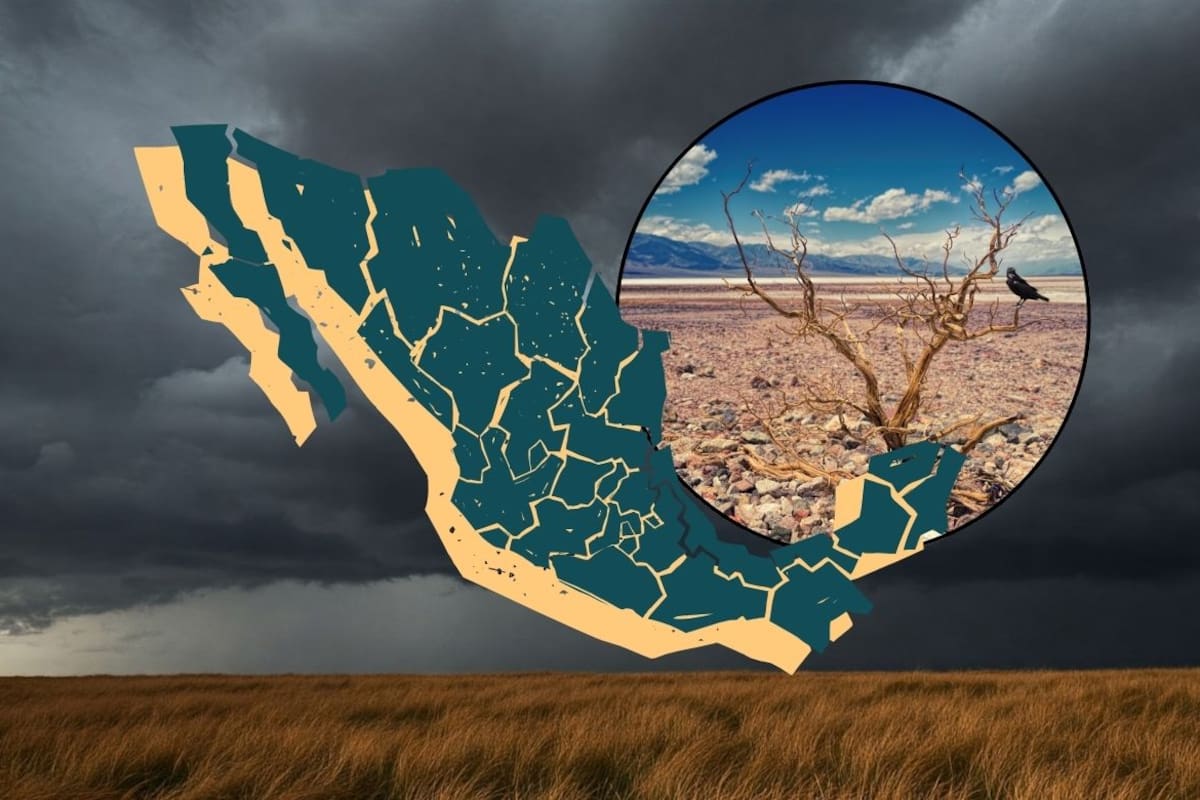 El Niño podría alcanzar su máxima intensidad histórica a finales de 2026 y los especialistas advierten que en México se esperan frentes fríos más severos, huracanes de mayor intensidad y olas de calor en las ciudades