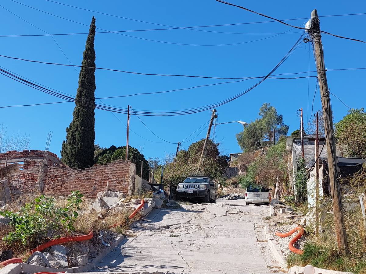 Cientos de casas en Camino Verde están rodeadas de maleza, así como por árboles y palmeras, cuyas ramas están al ras del cableado del alumbrado público.