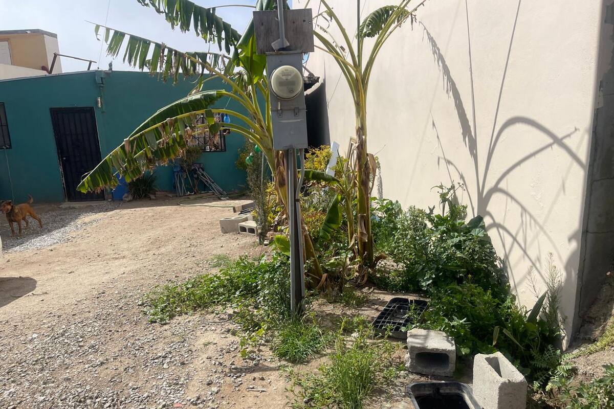Denuncian que derrame de aguas negras de fosa séptica afecta su casa en Rosarito