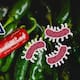 EEUU investiga jalapeños mexicanos por brote de salmonela