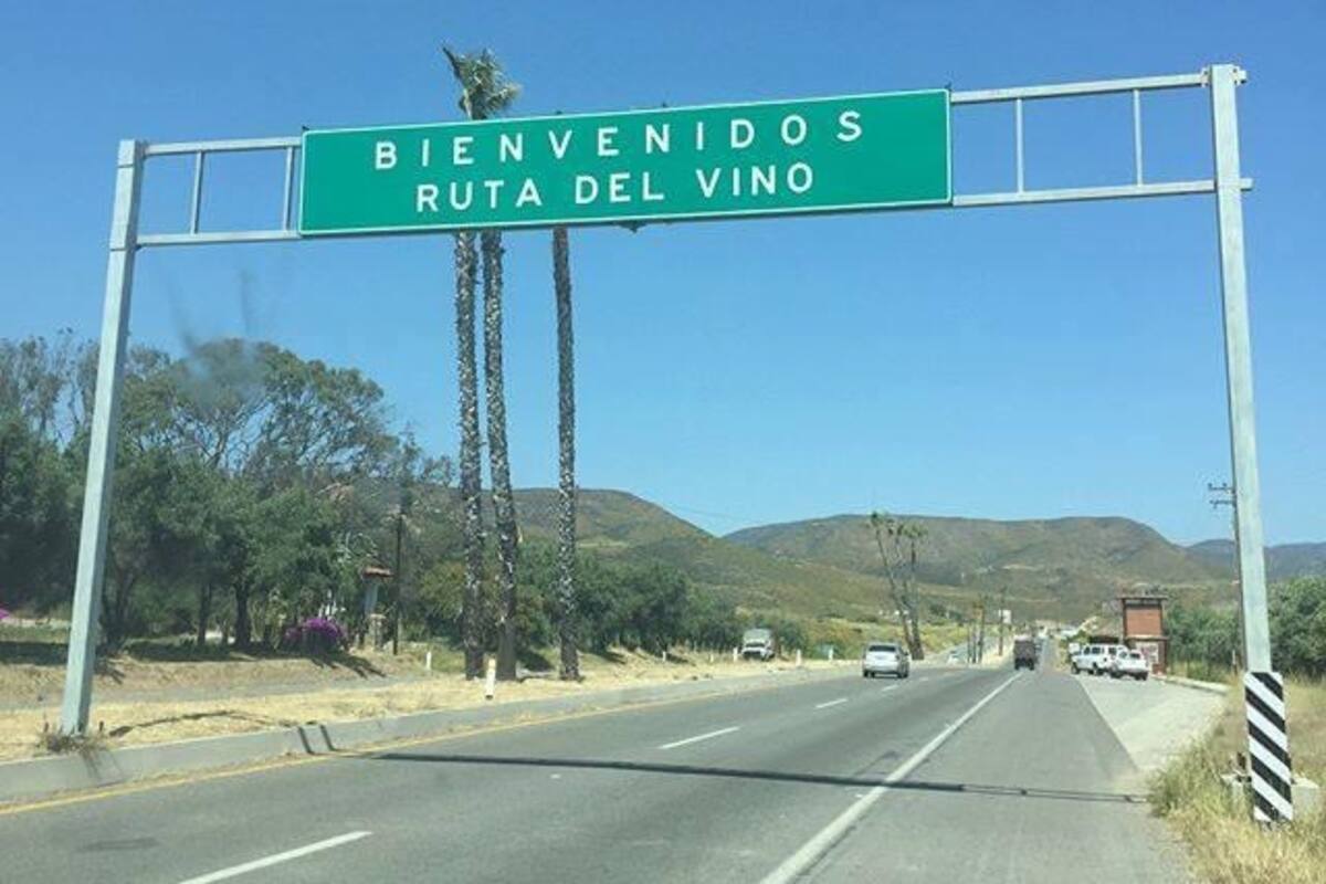 Más de 100 empresas operan en forma irregular en el Valle de Guadalupe