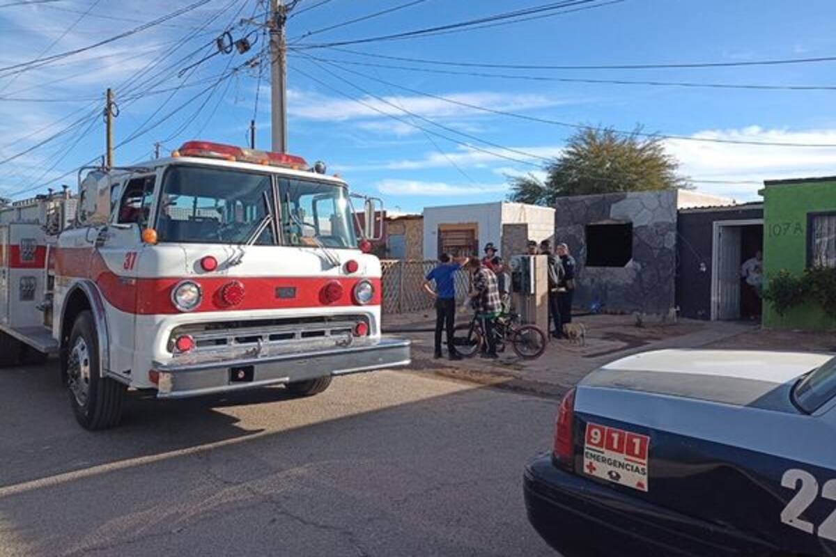 Rescatan a cuatro perros de incendio en SLRC